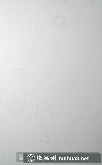 彩鉛畫(huà)野菊花