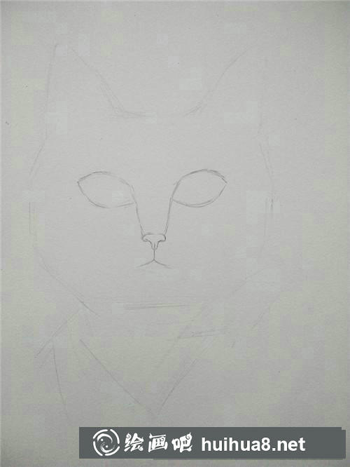 狗狗素描