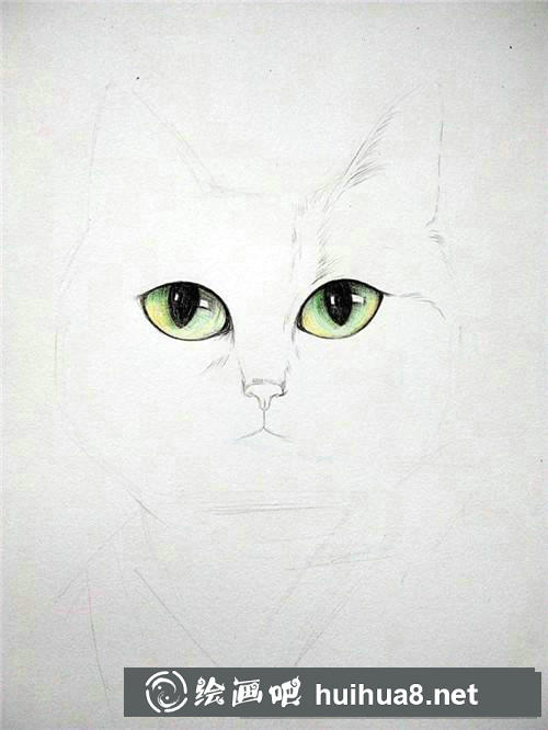 狗狗素描