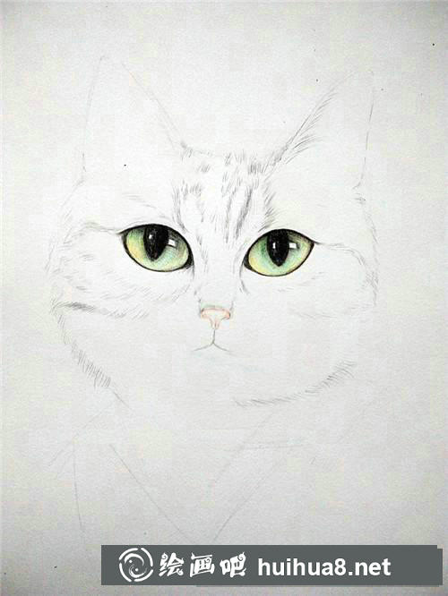 狗狗素描