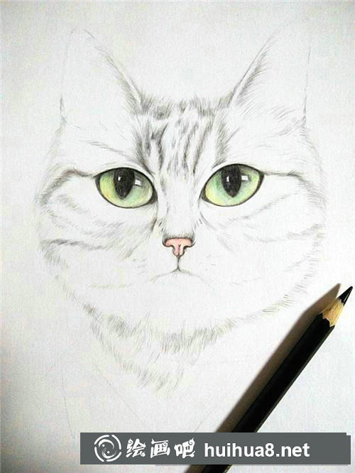 狗狗素描