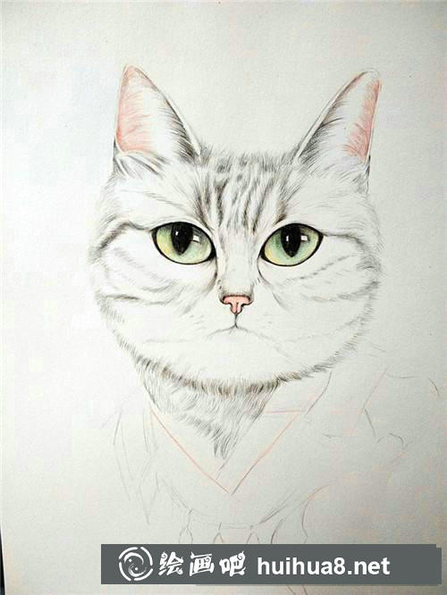 狗狗素描