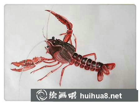 彩鉛畫教程
