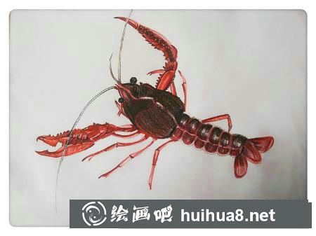 彩鉛畫教程