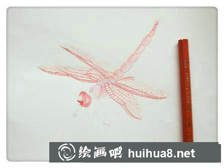 彩鉛畫教程