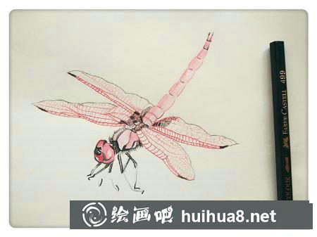 彩鉛畫教程