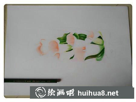 彩鉛畫教程