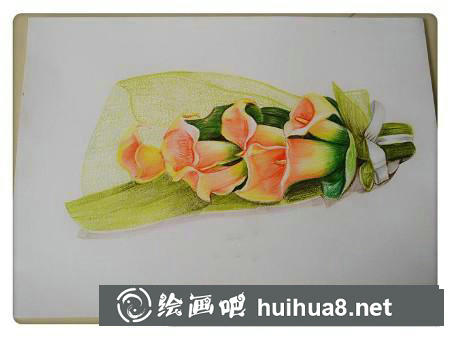 彩鉛畫教程