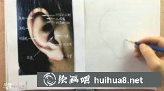 素描耳朵繪畫(huà)技巧