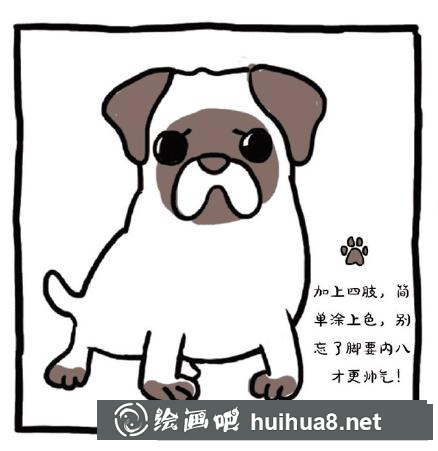 怎么畫八哥犬