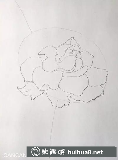 彩鉛畫梔子花