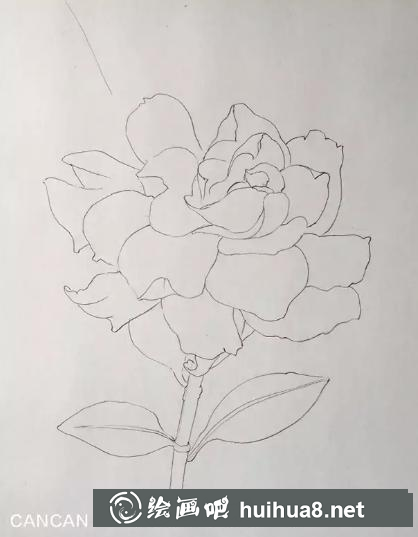 彩鉛畫梔子花