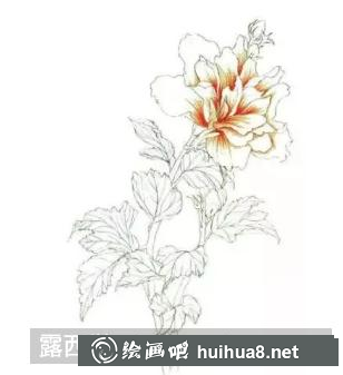 彩鉛畫木槿花