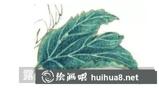 彩鉛畫木槿花