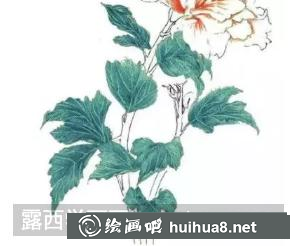 彩鉛畫木槿花
