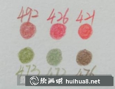 彩鉛花卉教程康乃馨繪畫技巧