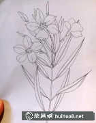 水彩畫(huà)夾竹桃教程步驟詳解