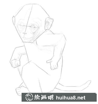 素描畫猴子