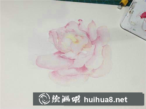 粉月季水彩畫