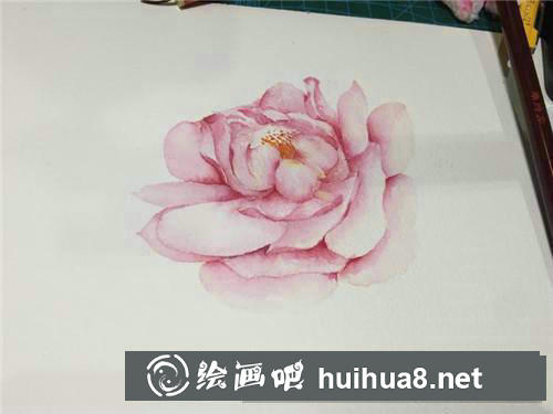 粉月季水彩畫