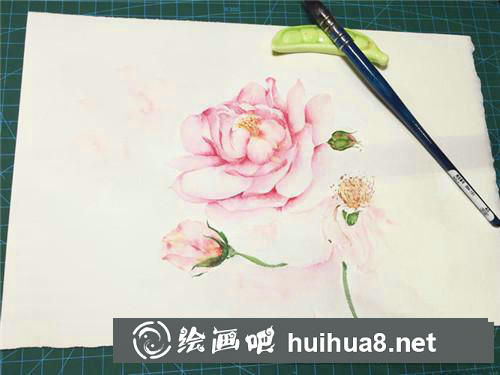 粉月季水彩畫