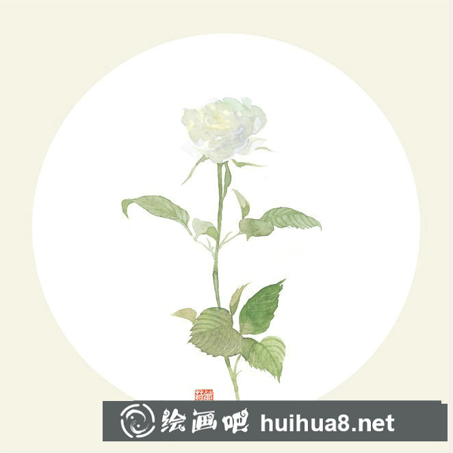 水彩花卉作品