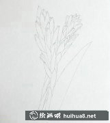 魁式鳳梨水彩教程全解析
