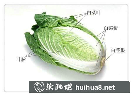 彩鉛畫教程