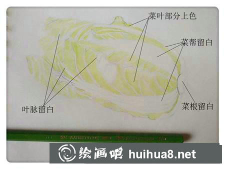 彩鉛畫教程