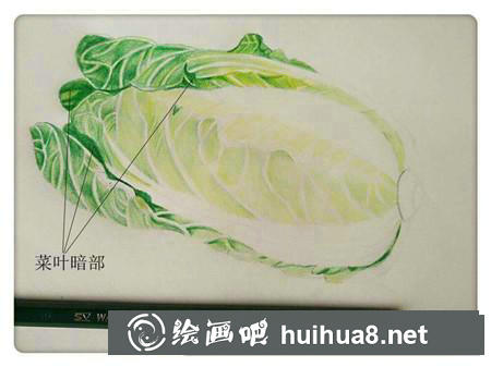 彩鉛畫教程