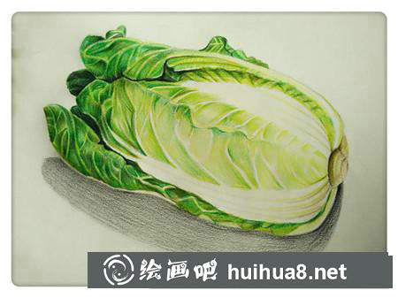 彩鉛畫教程