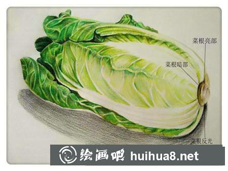 彩鉛畫教程