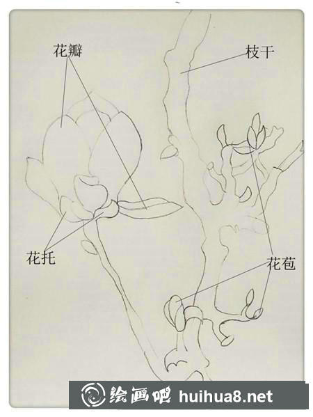 彩鉛畫教程