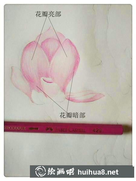 彩鉛畫教程
