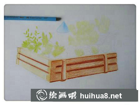 彩鉛畫(huà)教程