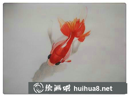 彩鉛畫教程