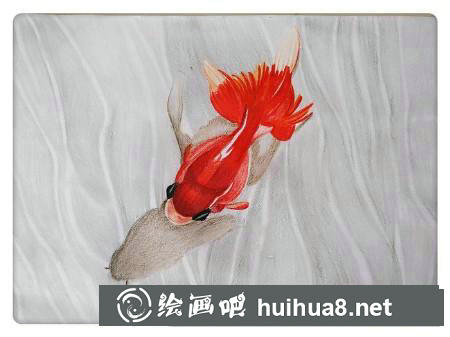 彩鉛畫教程