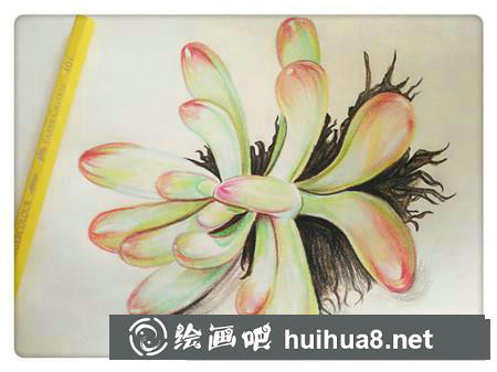 彩鉛畫教程