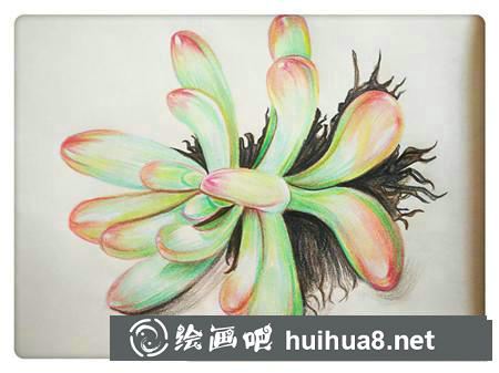 彩鉛畫教程