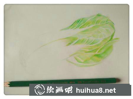 彩鉛畫教程
