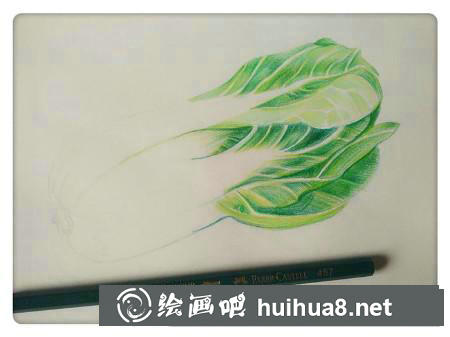 彩鉛畫教程