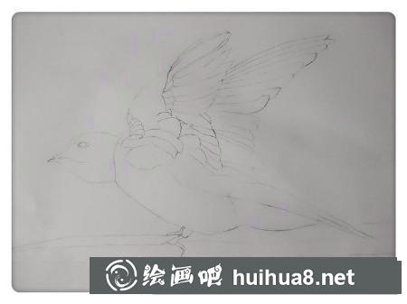 彩鉛畫教程