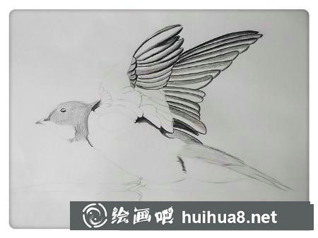彩鉛畫教程