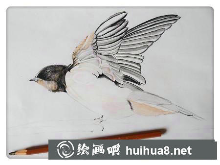 彩鉛畫教程