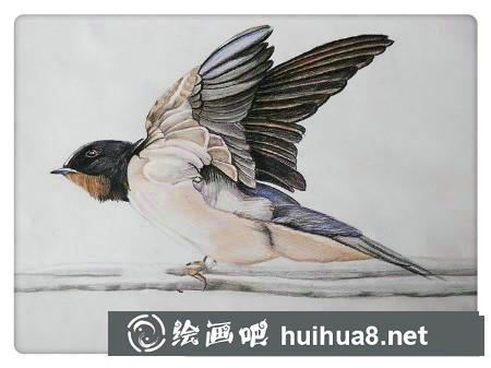 彩鉛畫教程