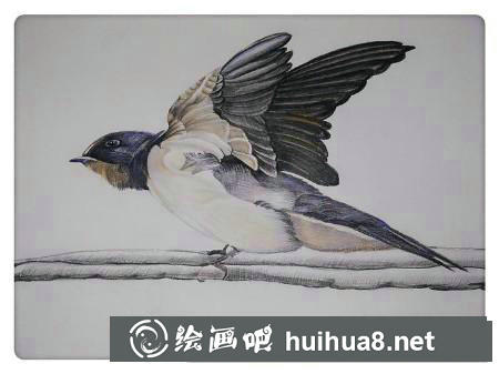 彩鉛畫教程