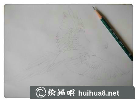彩鉛畫(huà)教程