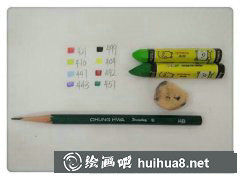 教您繪制展翅鸚鵡教程