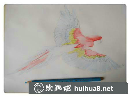彩鉛畫(huà)教程