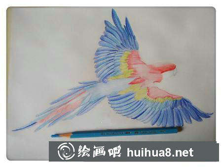 彩鉛畫(huà)教程